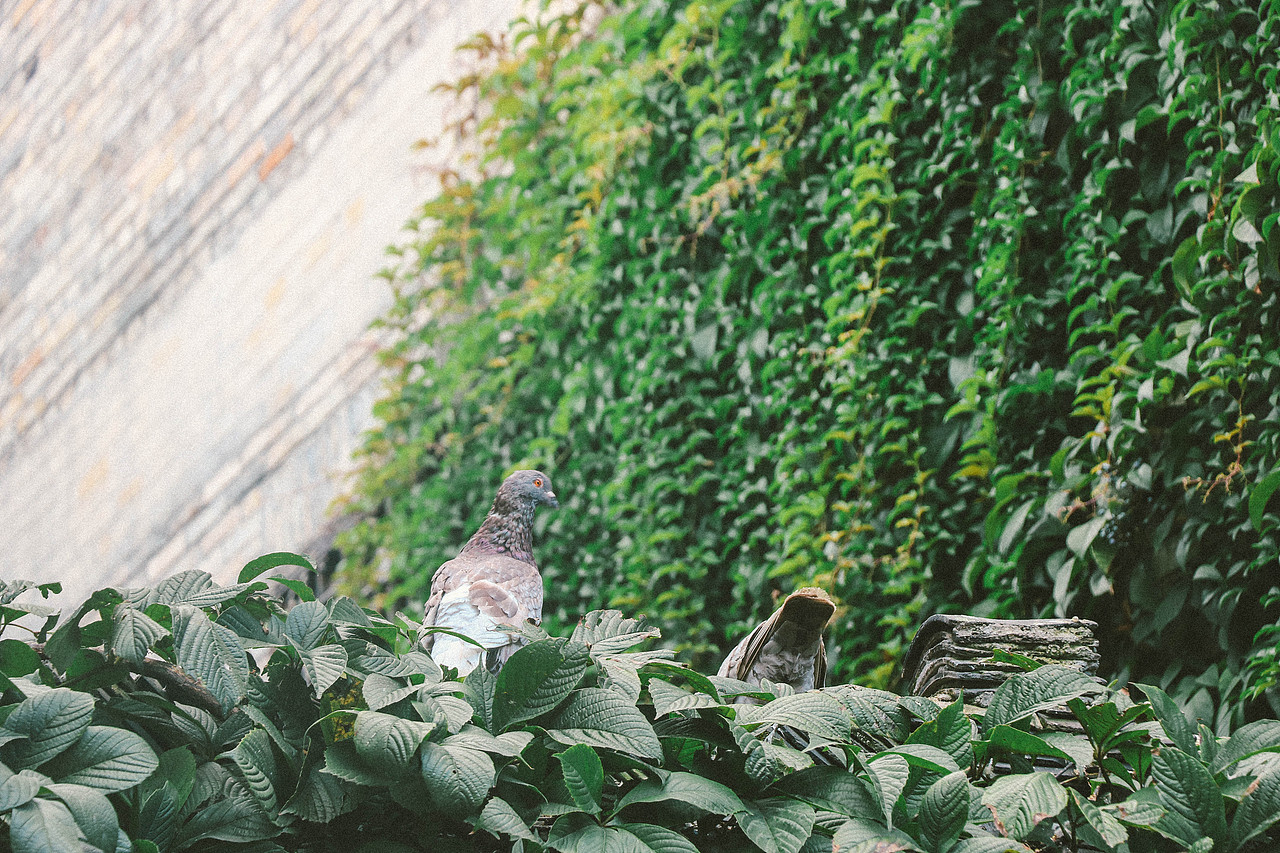 摄影|脚步丈量过的城市（图ZMTc2MzcwMTAw） - 风光摄影 - 站酷设计师是Encore了原创素材 - 站酷ZCOOL