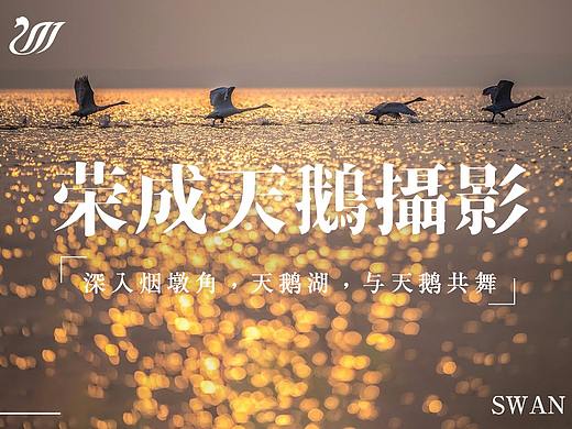 旅游海報合集（個人主頁-ZMjQ1NjEyNzY=） - 海報 - 站酷設計師率性而為卩原創(chuàng)素材 - 站酷ZCOOL