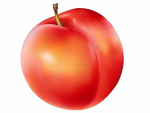 AI 网格工具 矢量图 李子 水果