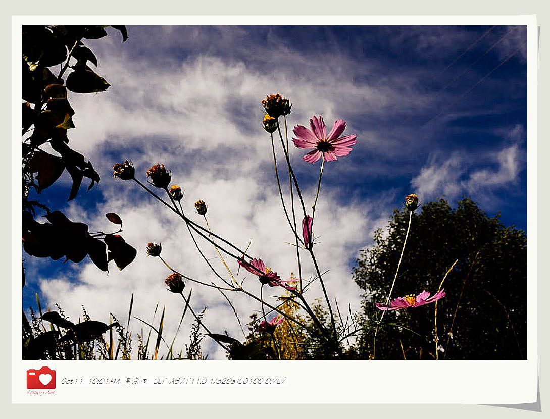 ◤岁月静好❤安然若素◢ 最接近天堂的地方，一轉身便是天涯（图ZNzE1Mjk5Mg==） - 风光摄影 - 站酷设计师咪噜咪噜原创素材 - 站酷ZCOOL