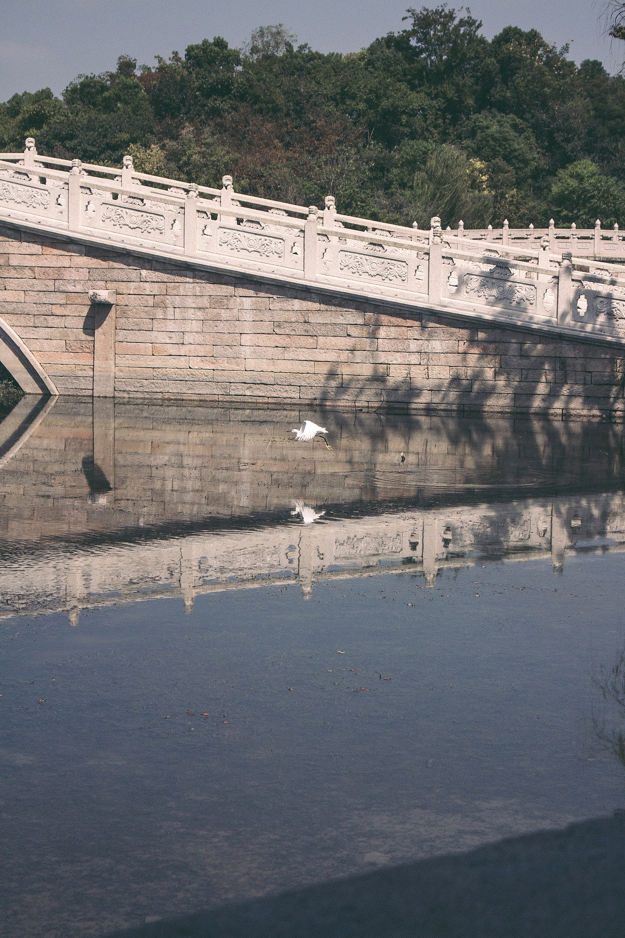 广富林古文化遗址