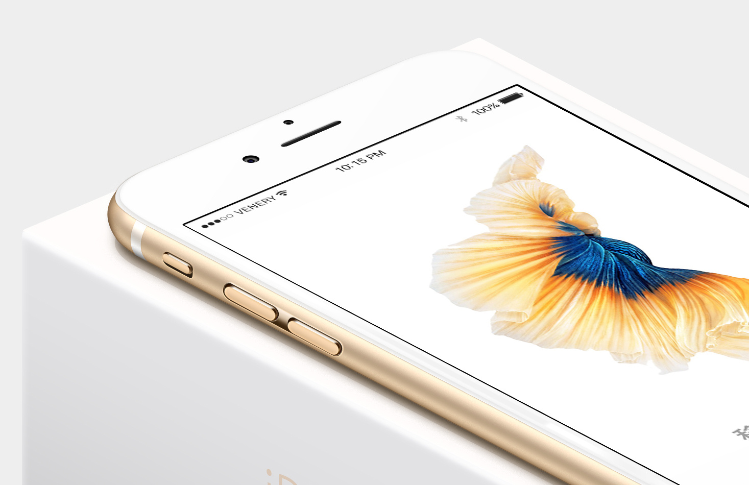 ps鼠绘iphone 6-效果图