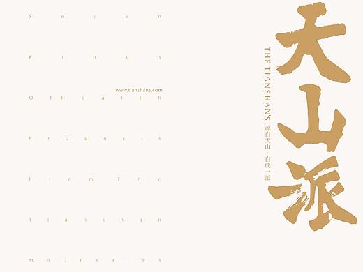 天山派 系类包装成册