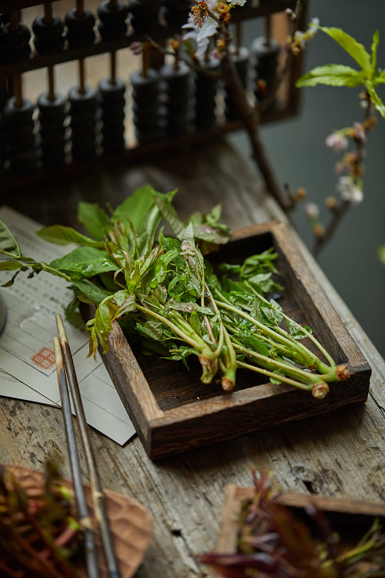野菜——春季篇