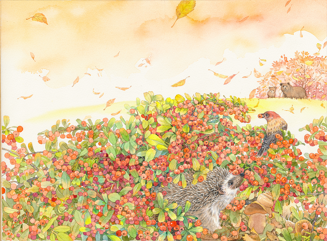 森林报封面配图