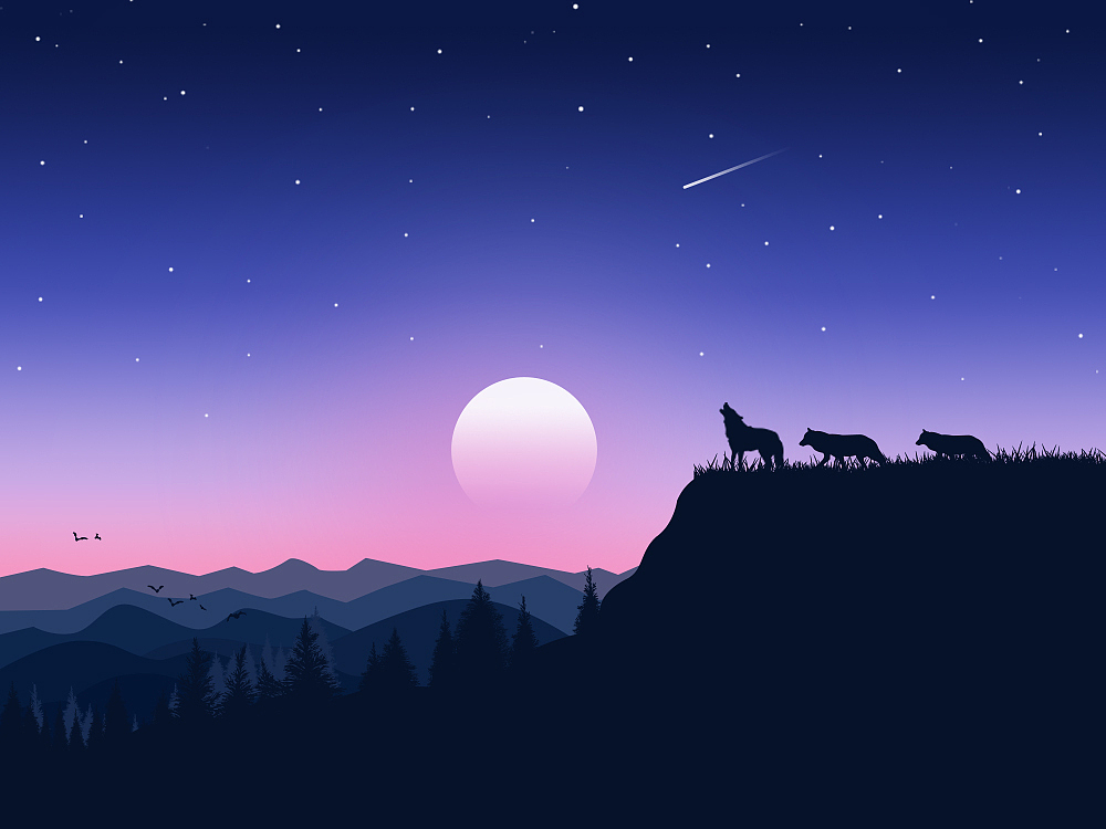 dribbble-光与影插画临摹