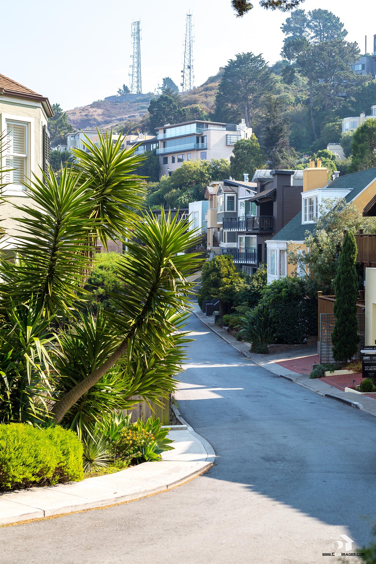 全球行摄图鉴:美国旧金山sanfrancisco in california