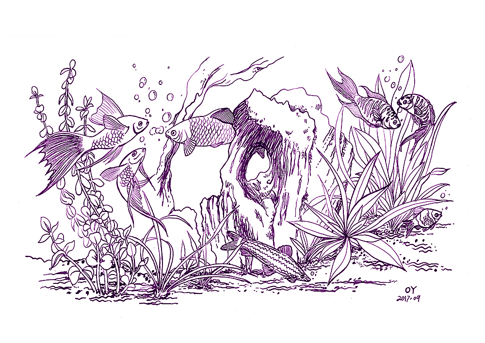 OY手绘:一天一画2017