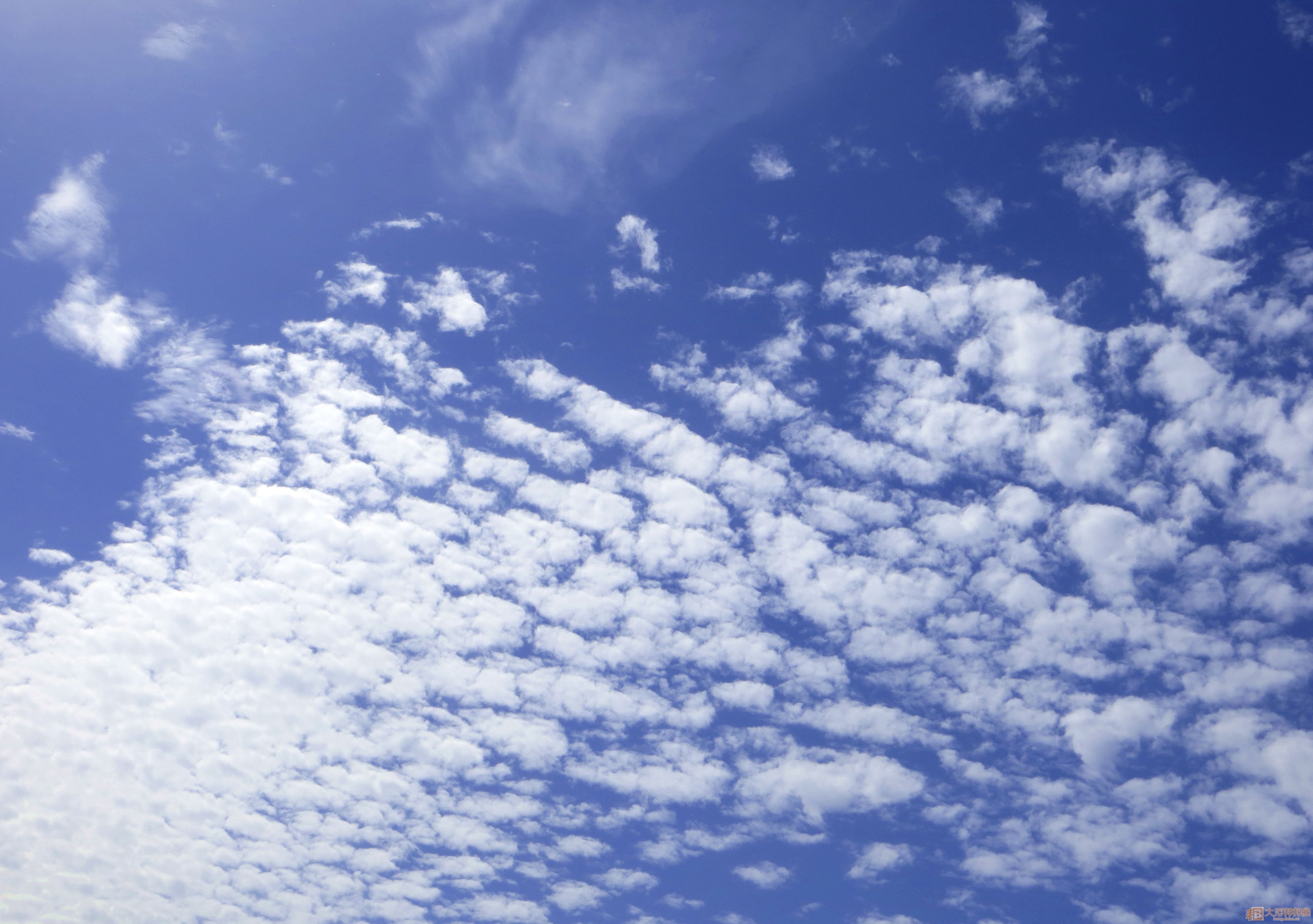 佩德鲁的个人主页（封面预览） - 主页封面设置 - 站酷设计师佩德鲁原创素材 - 站酷ZCOOL