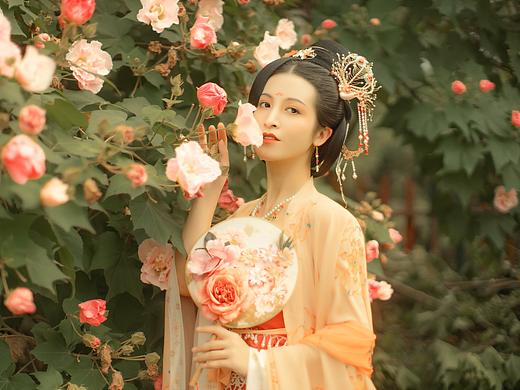 芙蓉词