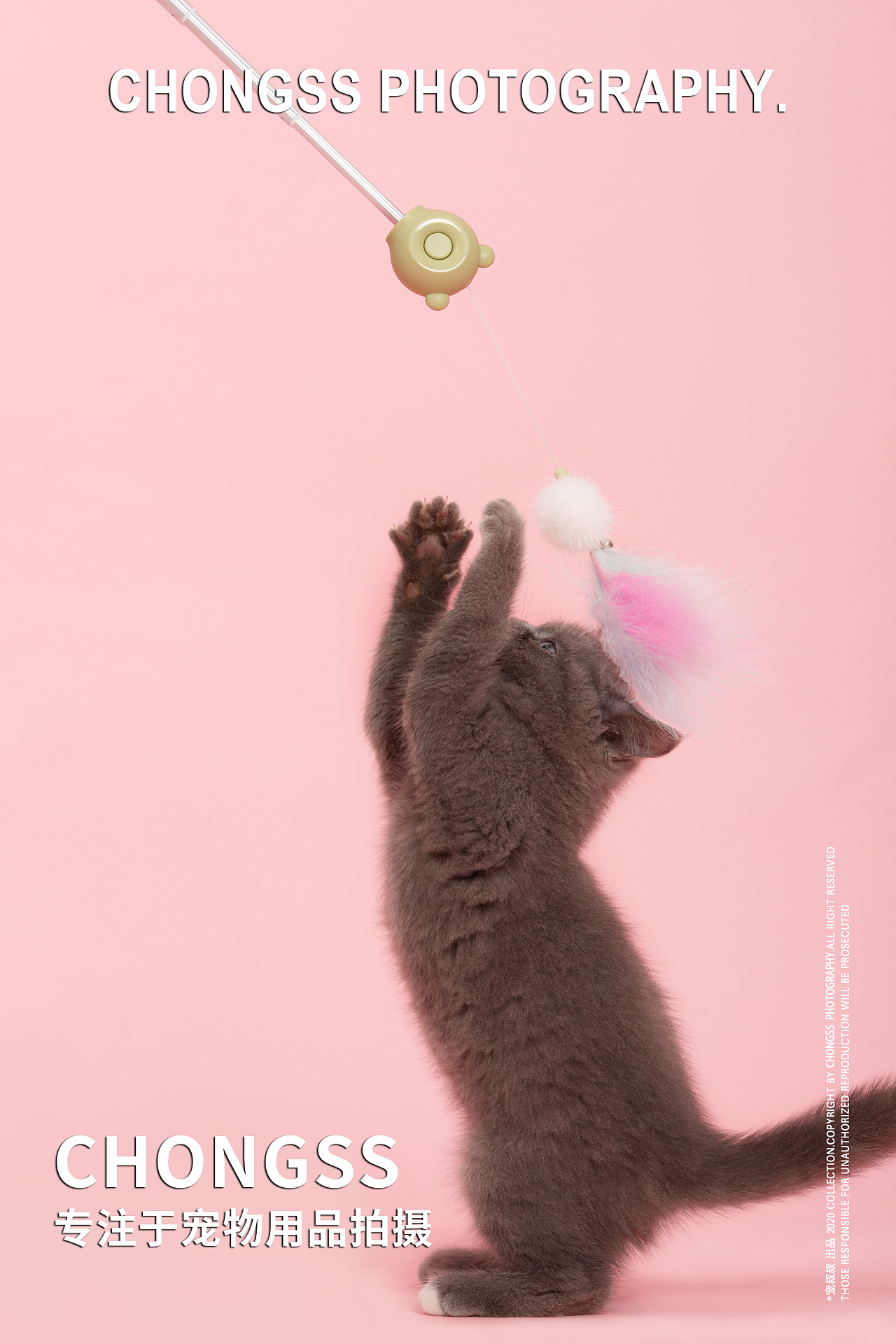 宠物用品拍摄-艾窝小熊逗猫棒 x 宠叔叔传媒