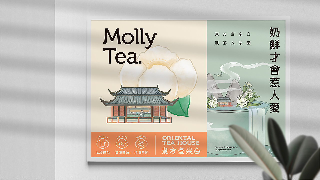 茶饮品牌-茉莉奶白诞生记