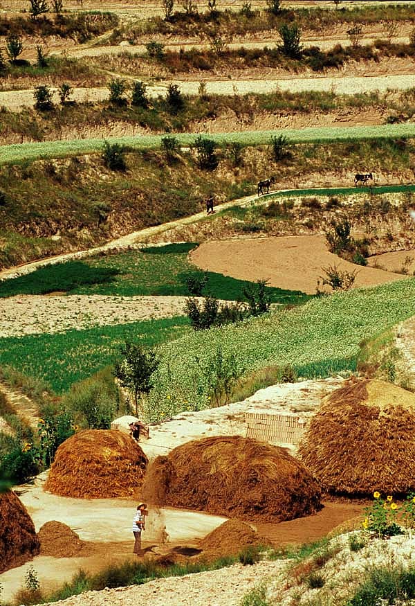 宁夏风光（图ZNzk4MjQ=） - 风光摄影 - 站酷设计师捌零映像原创素材 - 站酷ZCOOL