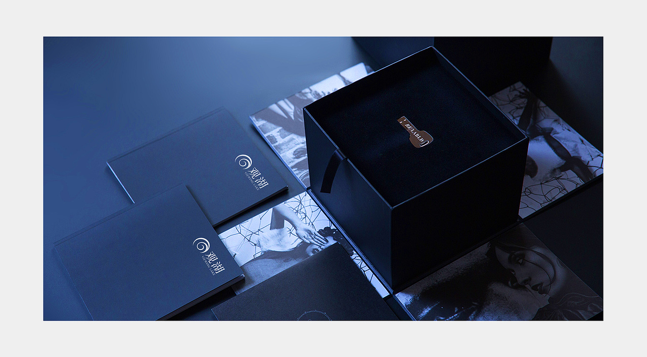 鼎驰观湖视觉提案