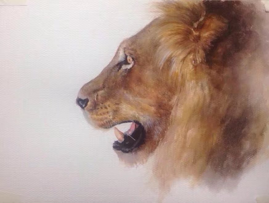 水彩—狮子