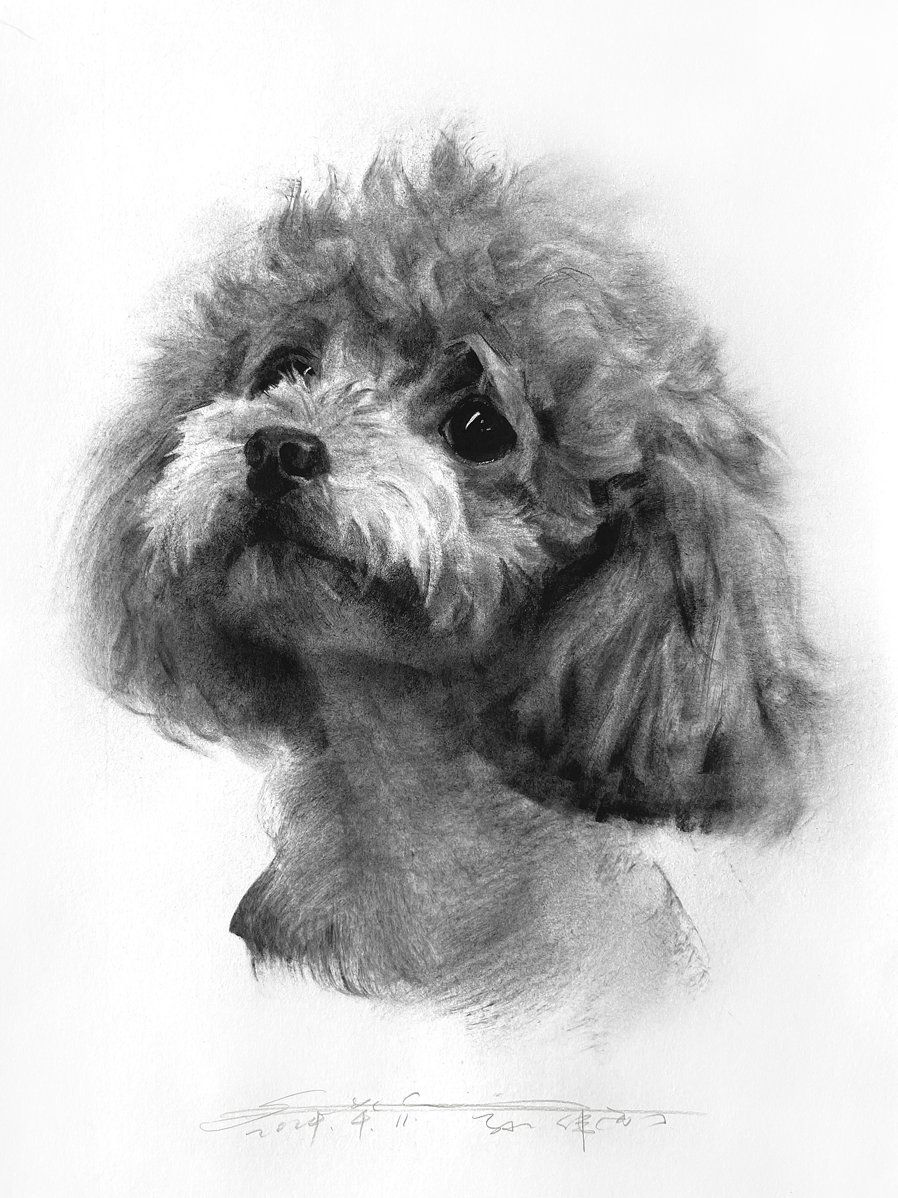 黑白插画也可以很好看不是吗？