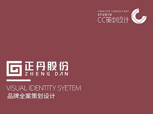企業(yè)VI全案設(shè)計(jì)（個(gè)人主頁(yè)-ZNDcwNTU1NTI=） - 品牌 - 站酷設(shè)計(jì)師CC品牌策劃?rùn)C(jī)構(gòu)原創(chuàng)素材 - 站酷ZCOOL