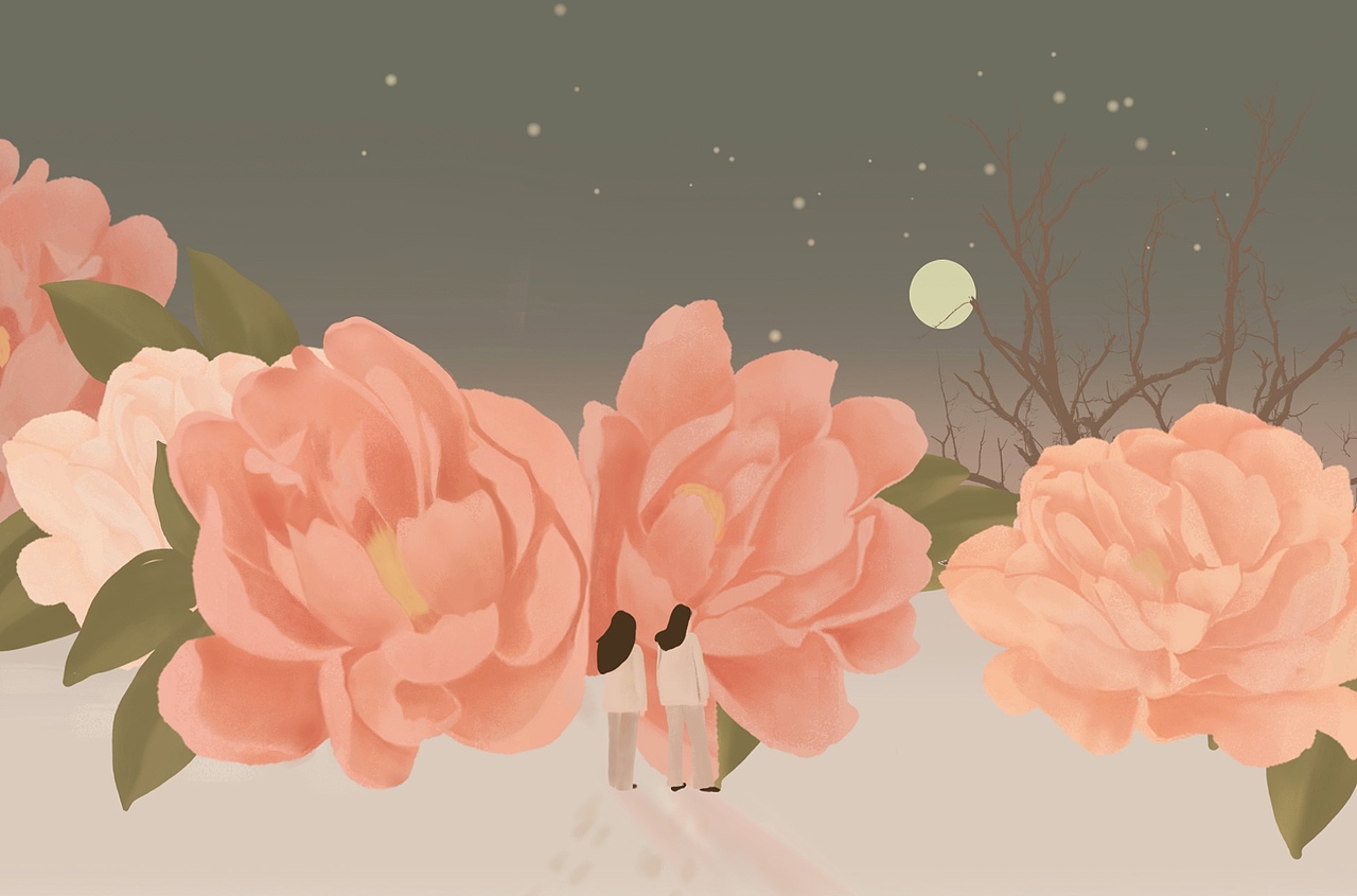 周绘插画双生花系列