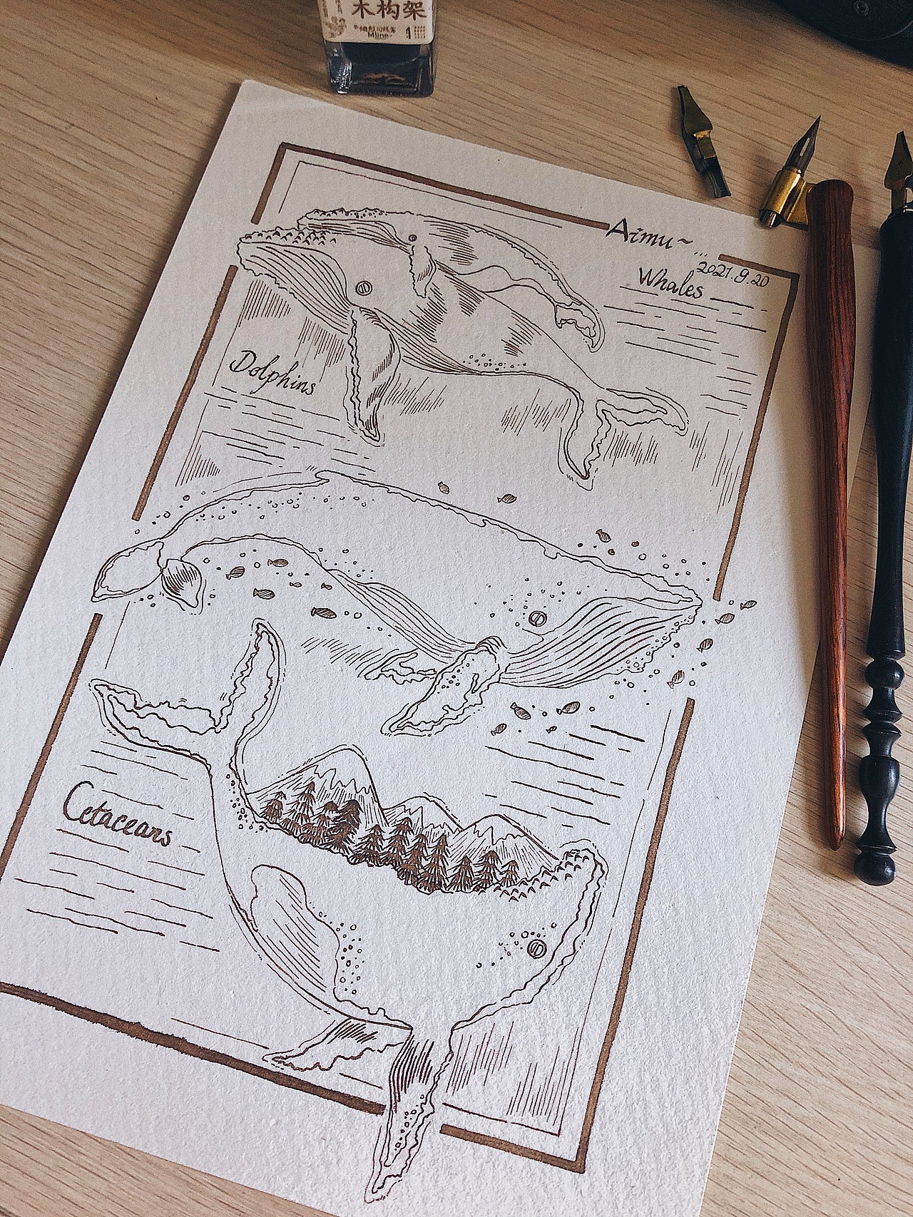 蘸水笔·鲸鱼丨蓝鲸插画 纹身图案设计