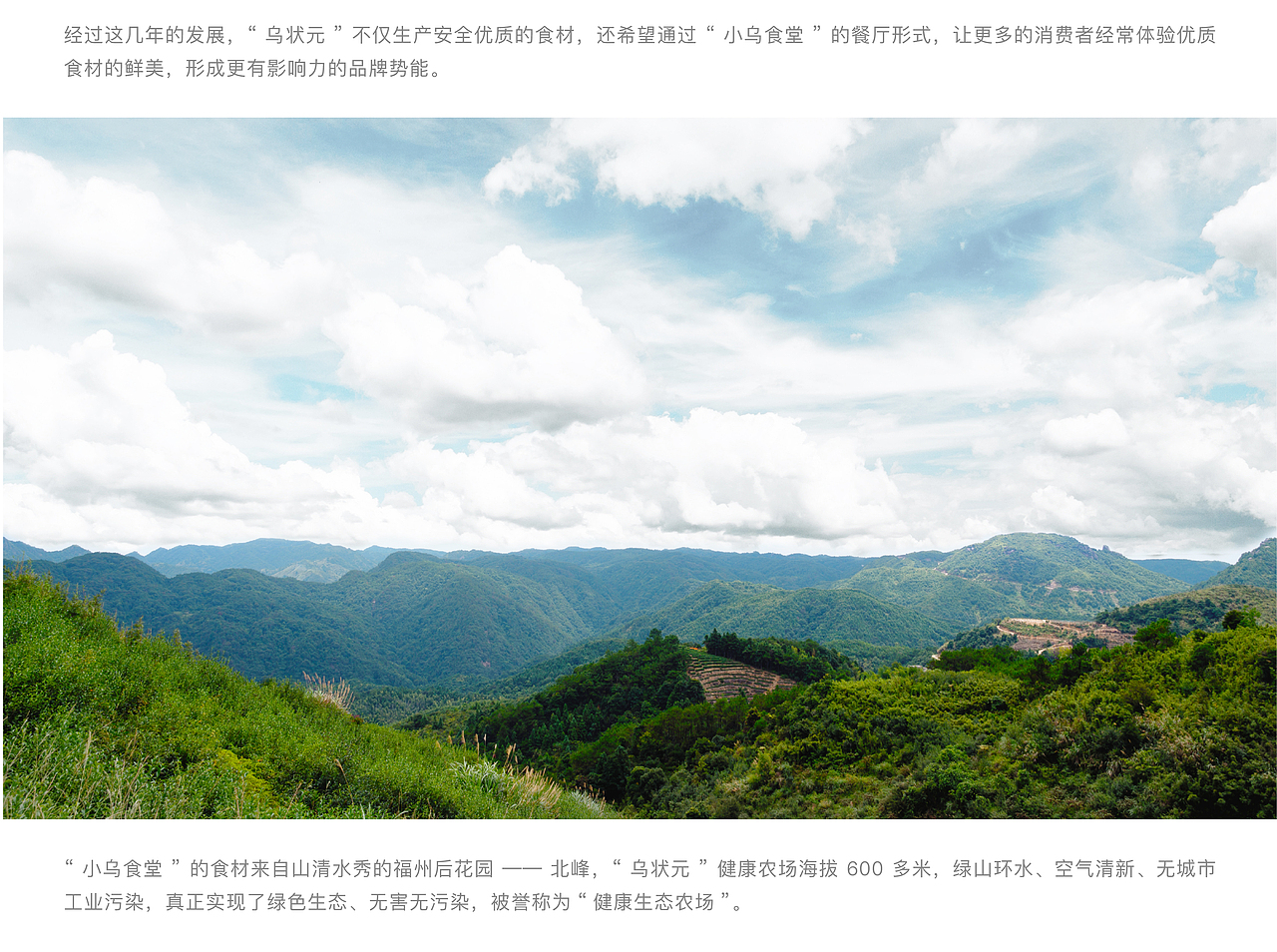 案例 | 小乌食堂·品牌升级（图ZMjQ2MzAyNTE2） - 品牌 - 站酷设计师StudioJU聚品牌原创素材 - 站酷ZCOOL