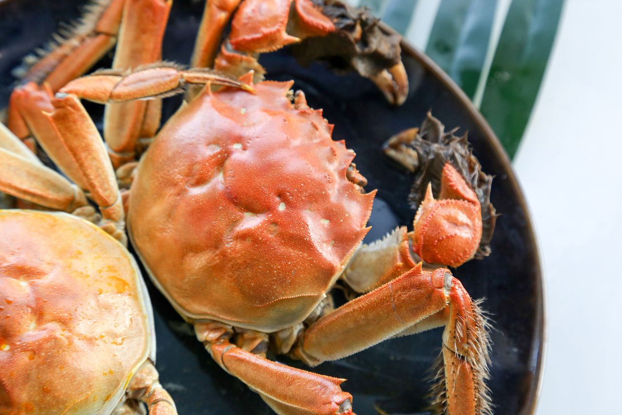 长荡湖大闸蟹拍摄