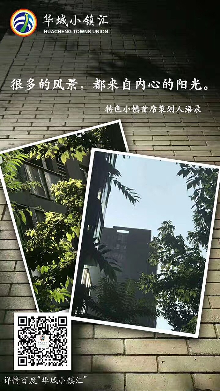 王金阳：最新一波王金阳语录图更新（图ZODYzNjAzMDg=） - 其他 - 站酷设计师每日干粮原创素材 - 站酷ZCOOL