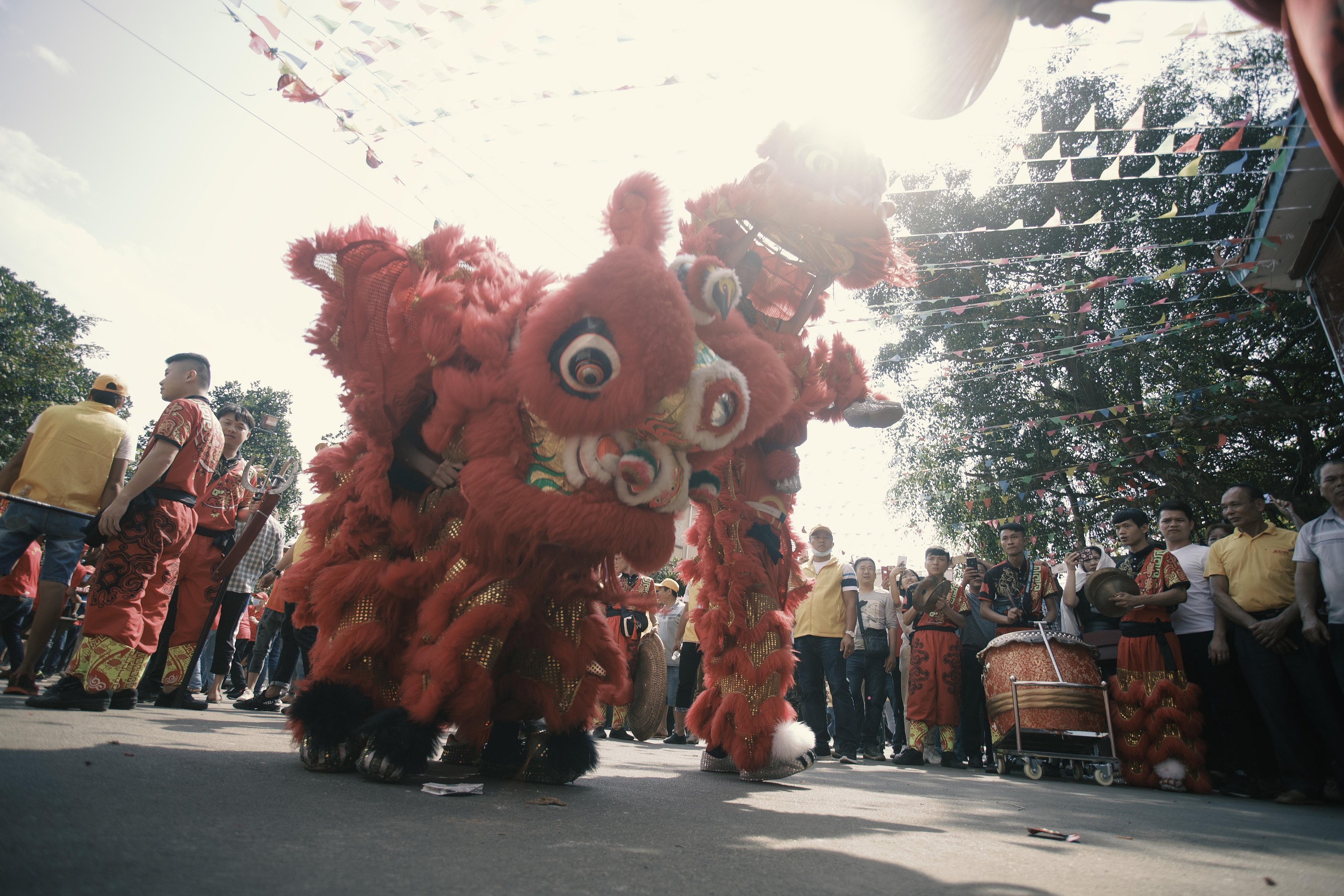 正月十六海南公期