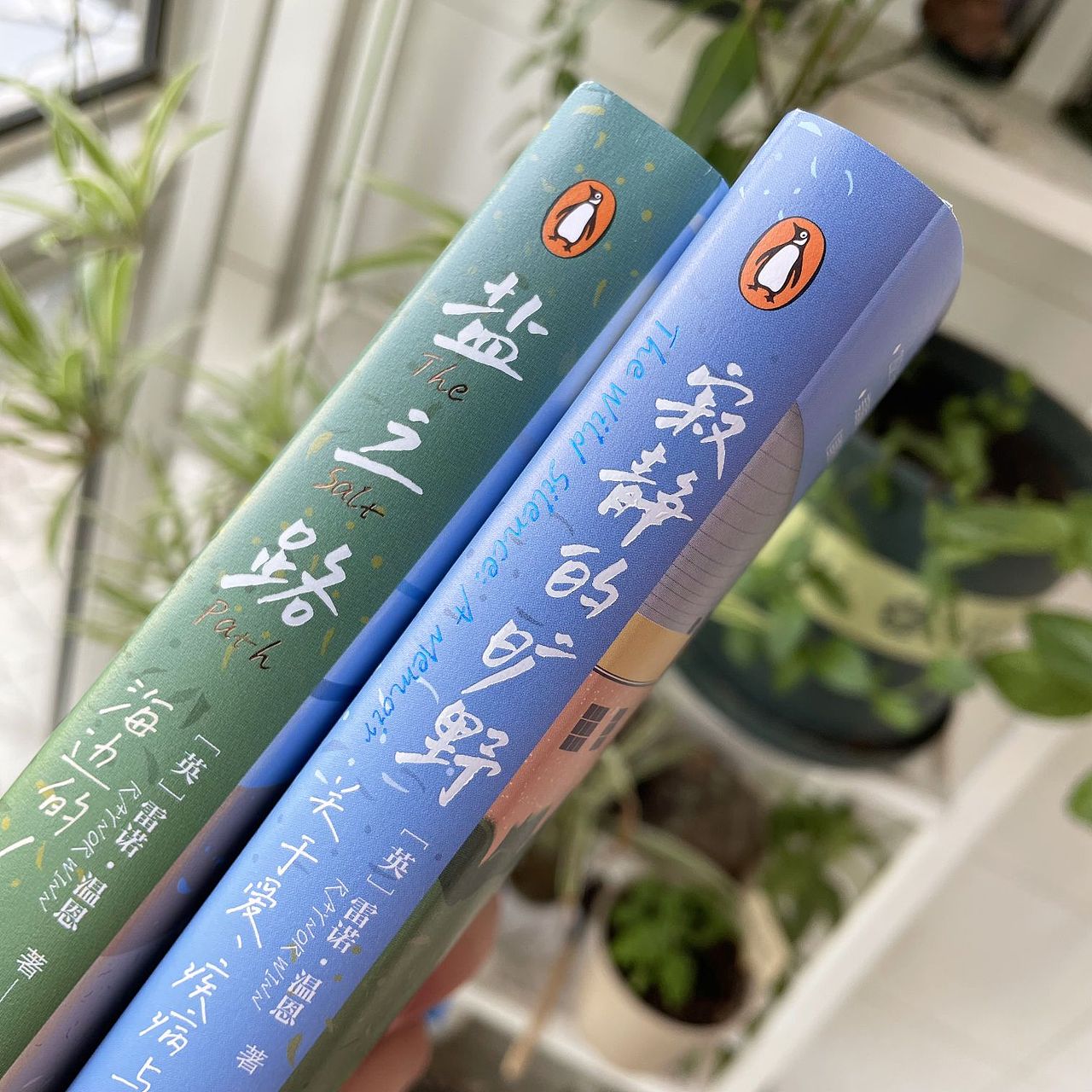 非虚构文学—书籍设计 原创插画（图ZMzQzNzY3NjU2） - 书籍/画册 - 站酷设计师李在白原创素材 - 站酷ZCOOL