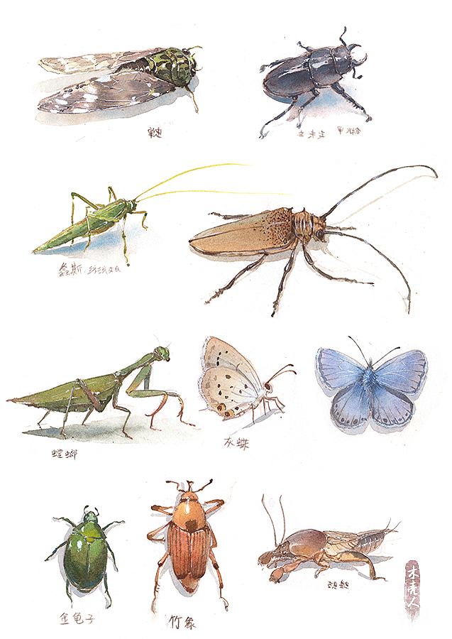 2017年插画小结（图ZMTEzOTQ5NjI0） - 商业插画 - 站酷设计师木壳人原创素材 - 站酷ZCOOL