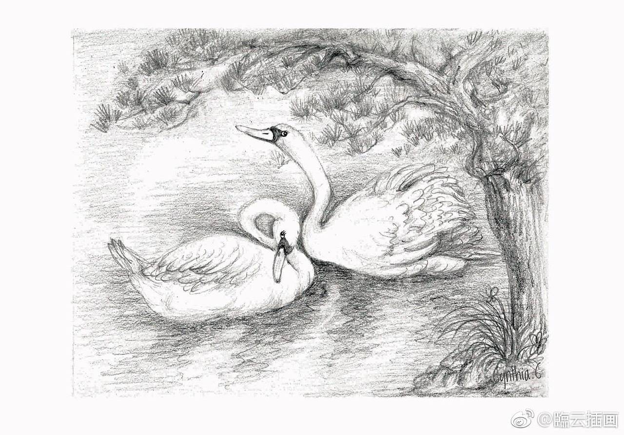 黑白插画创作儿童文学故事第一本