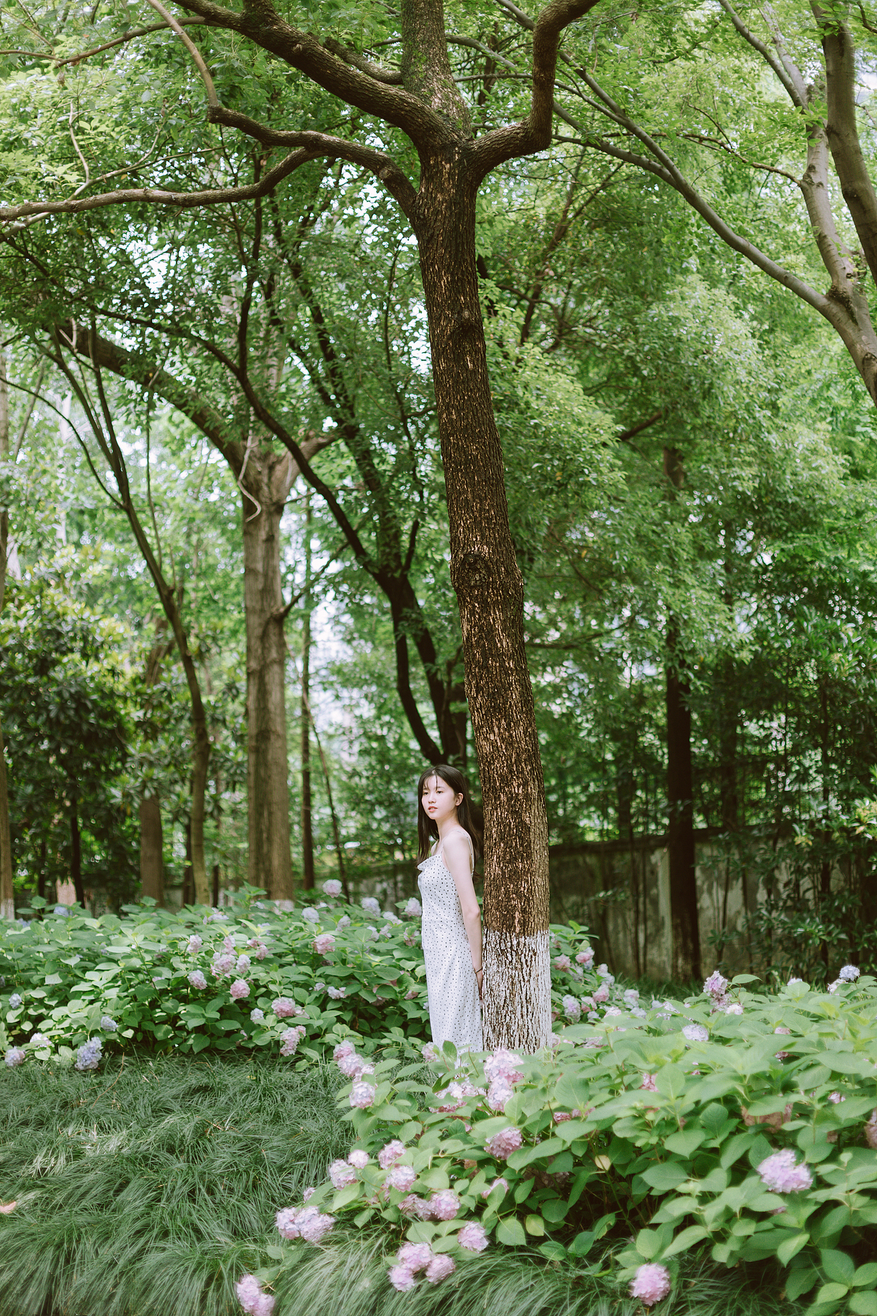 收集夏天（图ZMTYxNDk1NjAw） - 人像摄影 - 站酷设计师洪小漩原创素材 - 站酷ZCOOL