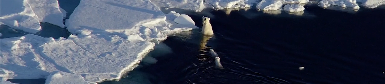 环境保护、绿色建筑活动先导片