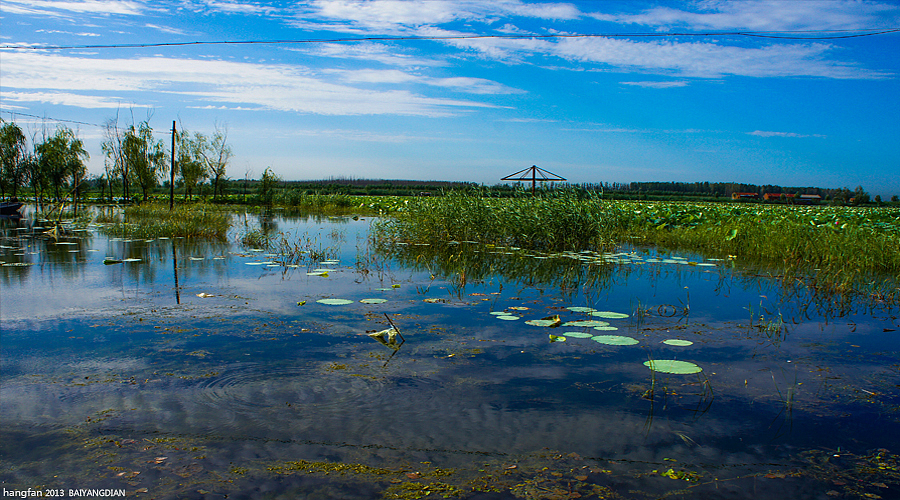白洋淀游记