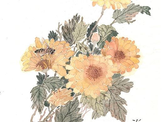没骨菊花