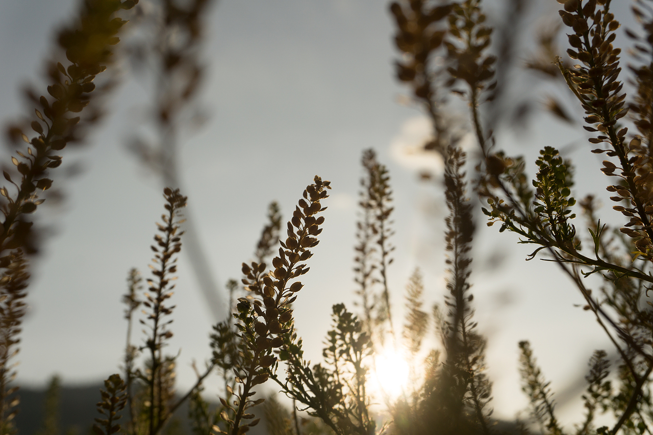 瞎幾把拍（圖ZODEzNDUxNDA=） - 風光攝影 - 站酷設(shè)計師失靈原創(chuàng)素材 - 站酷ZCOOL
