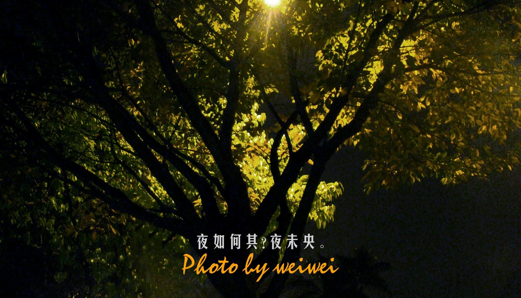 夜如何其?夜未央.