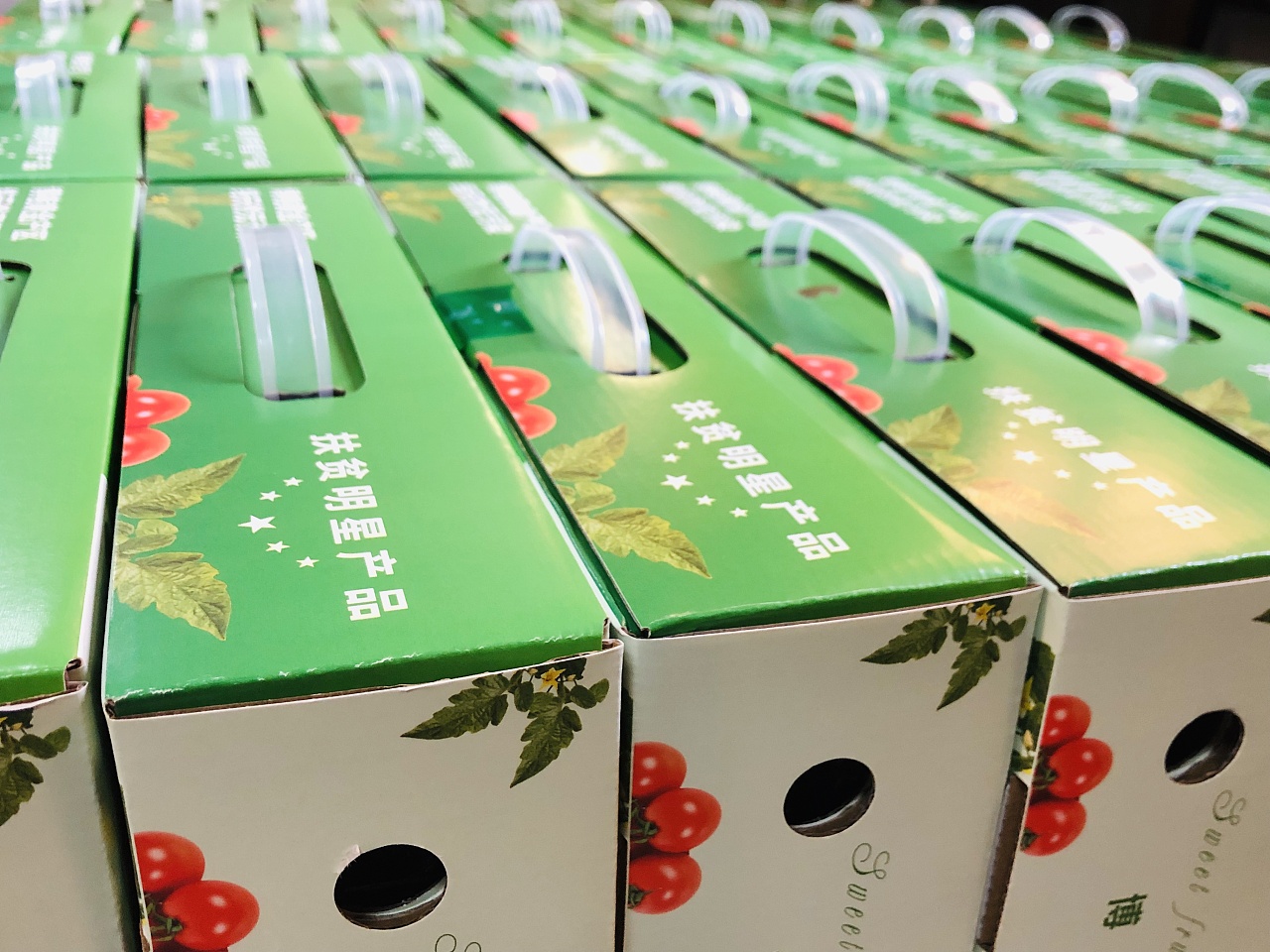 博袍千禧圣女果包装