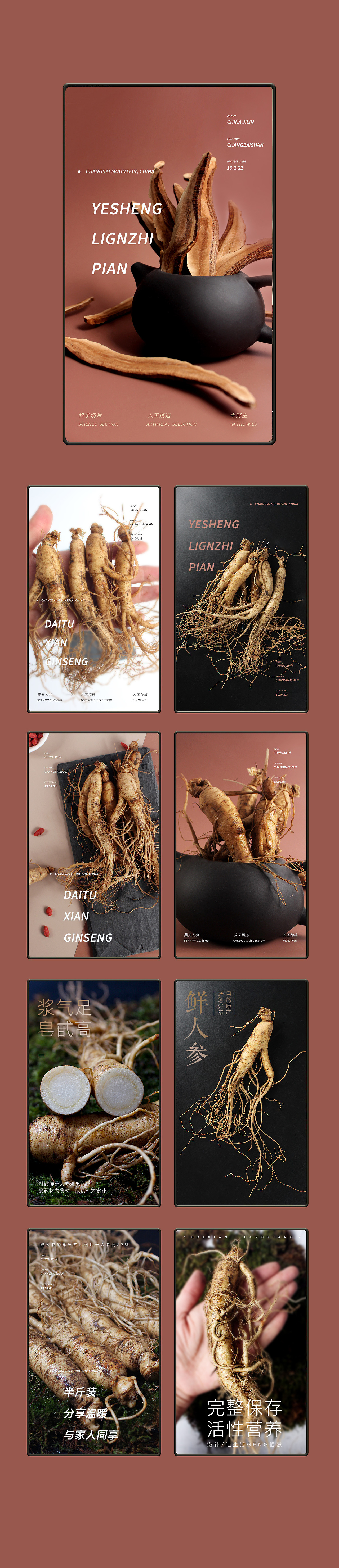滋补产品拍摄（图ZMTUyODQxMzg4） - 产品摄影 - 站酷设计师佛系少女颜原创素材 - 站酷ZCOOL