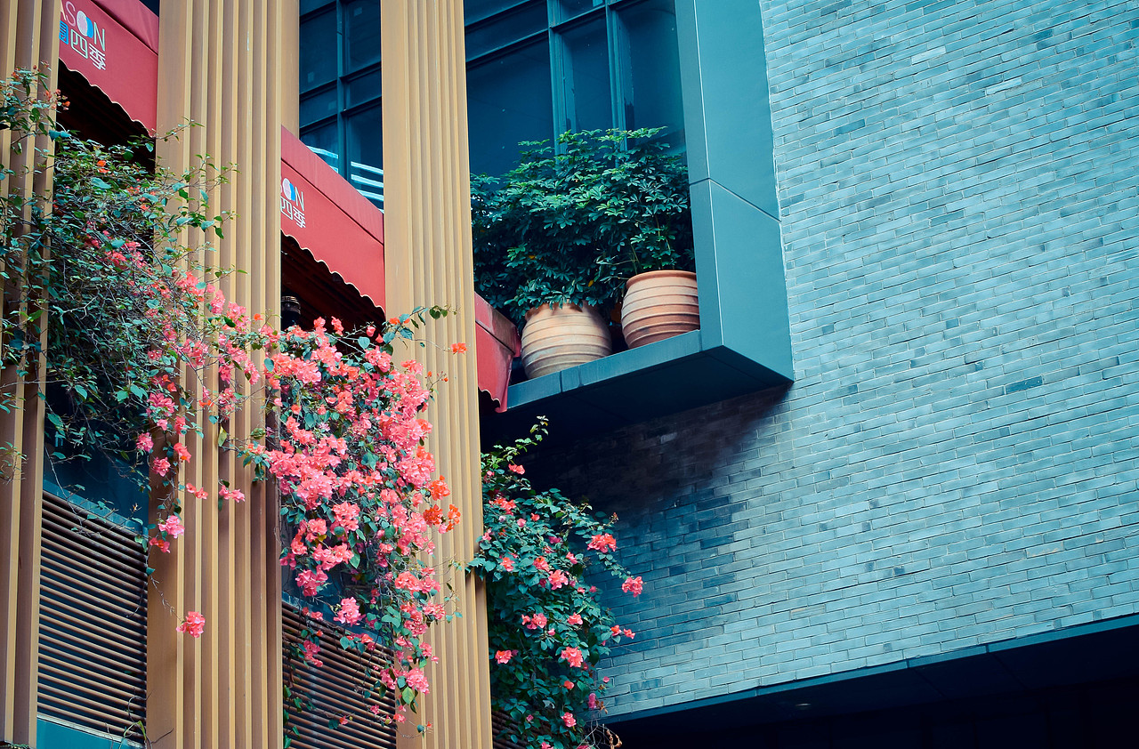 匆匆春秋和冬夏 2019（图ZMTg5MzkwNTA0） - 风光摄影 - 站酷设计师Journey闪原创素材 - 站酷ZCOOL