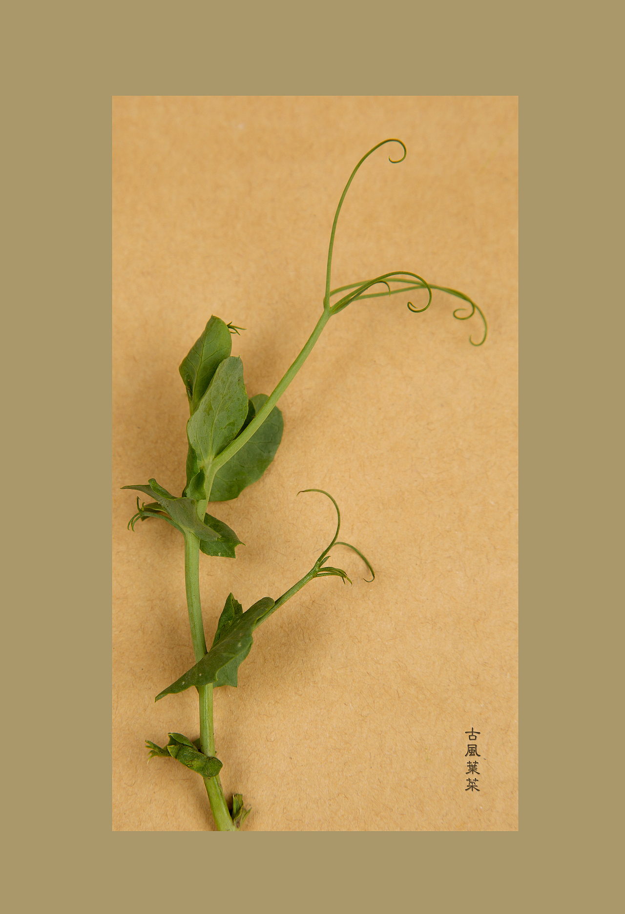 古風(fēng)食意（圖ZNjE4MDI5NjA=） - 產(chǎn)品攝影 - 站酷設(shè)計(jì)師蔣小那原創(chuàng)素材 - 站酷ZCOOL