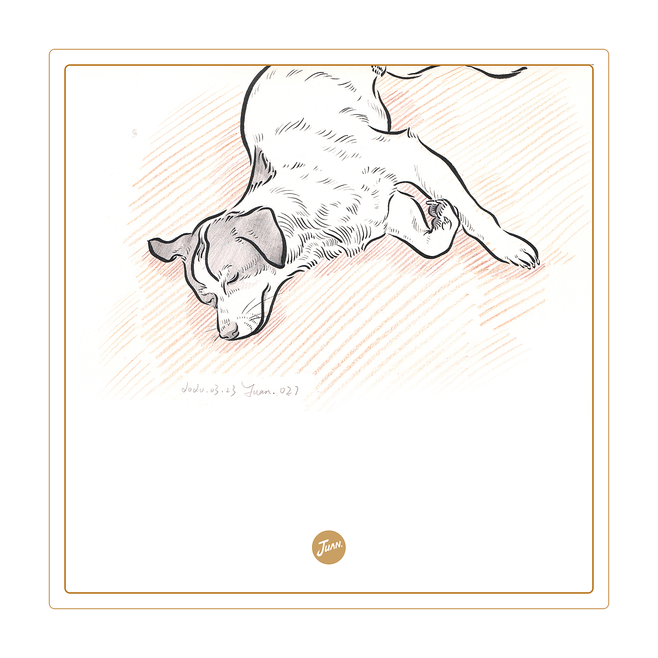 宠物速写（图ZMjA0Mzc1ODk2） - 创作习作 - 站酷设计师刘晓娟JUAN原创素材 - 站酷ZCOOL