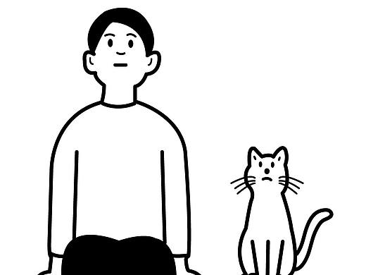 猫