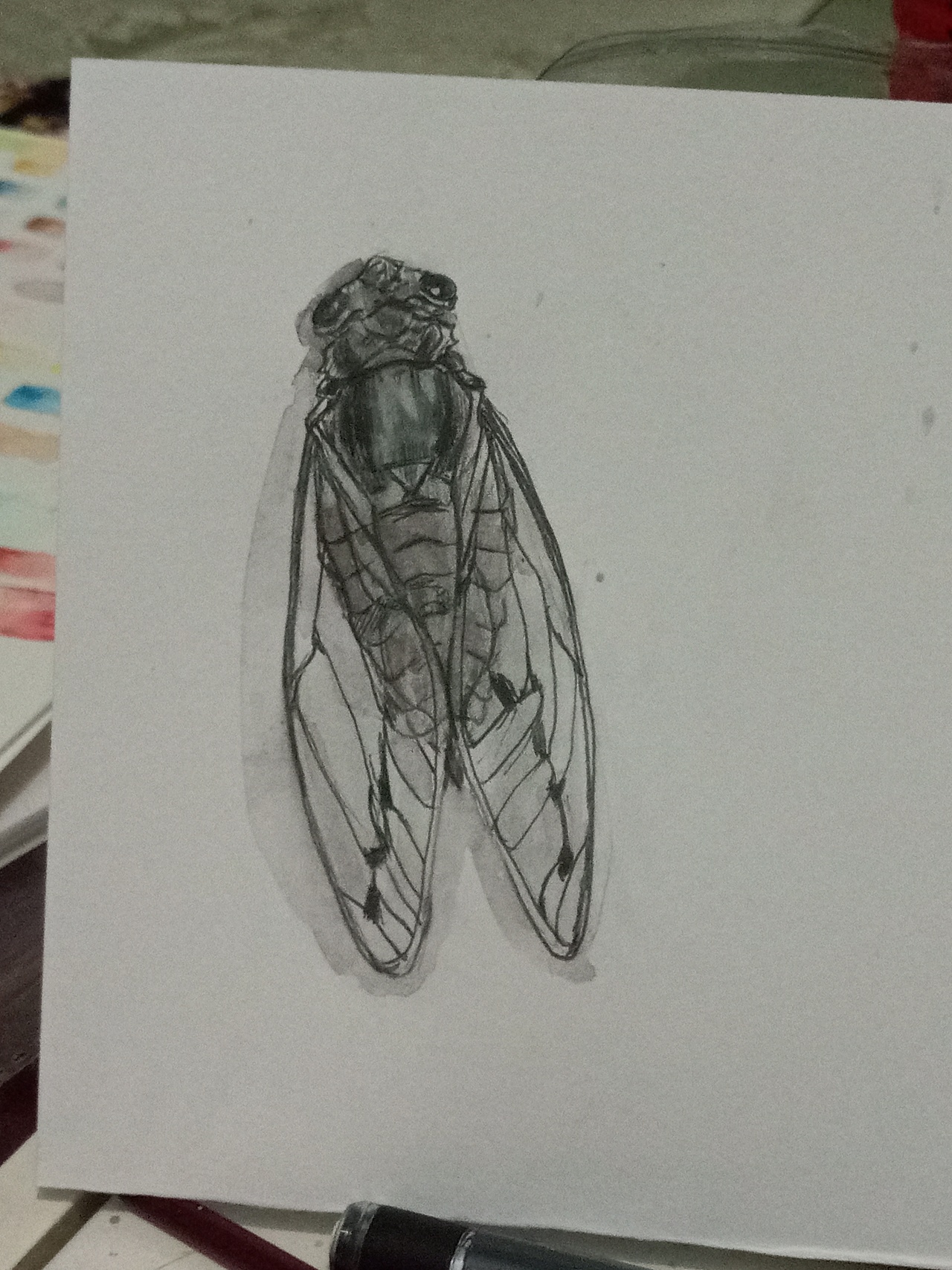 闲暇时的一些摸鱼