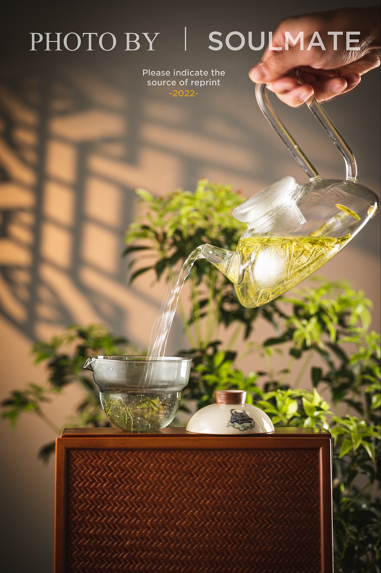 肇庆美食摄影 | 传统中式茶饮拍摄