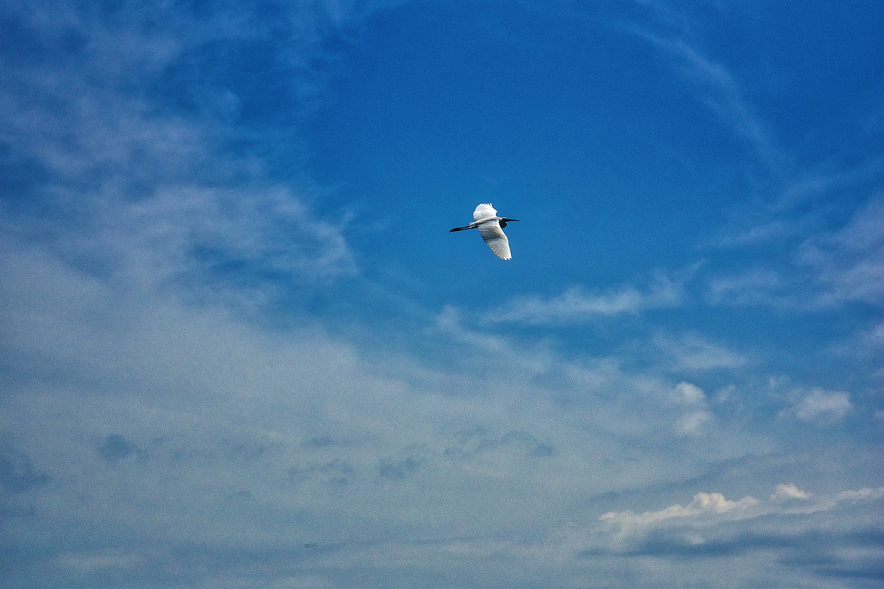 泰国的水 清澈到像颜料