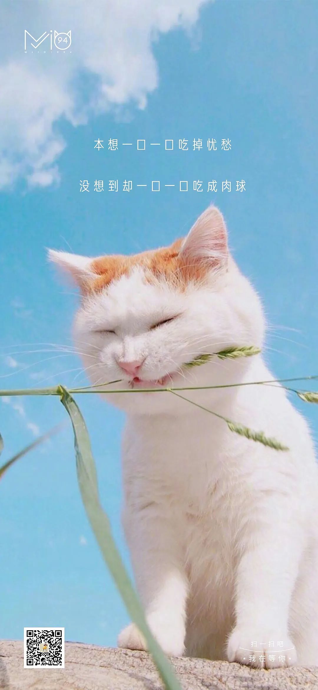 这些小美好·FOURTEEN（图ZMjg5MjY3ODE2） - 海报 - 站酷设计师TOPM原创素材 - 站酷ZCOOL