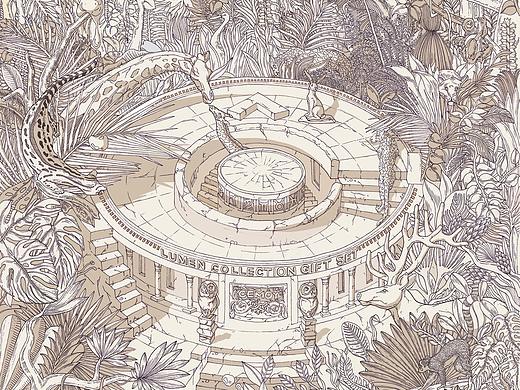 CEMOY澳诗茉白金流明系列《秘光礼盒》包装插画设计