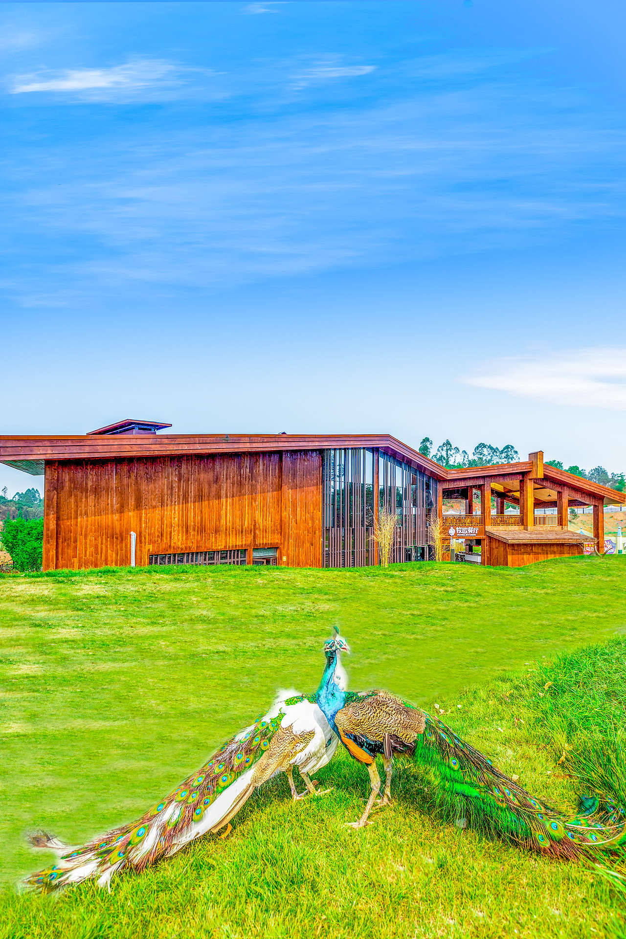 华侨城欢乐田园