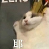 崴夫哎wifi的头像