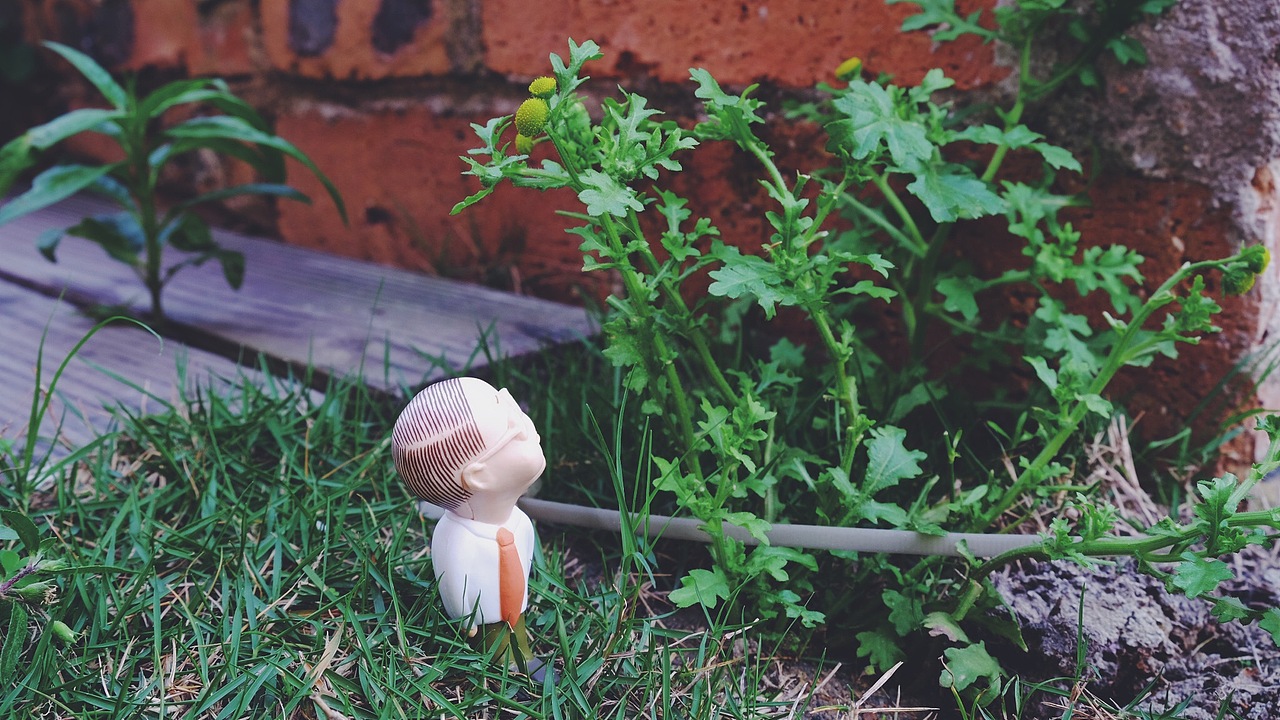 欧吉桑下田视察记(我的天啊站酷可以直接发图了)